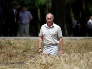 putin crisi del grano in ucraina 3
