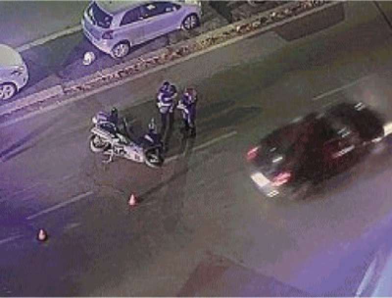rilievi dei vigili dopo lo scontro tra uno scooter e i cinghiali a prati