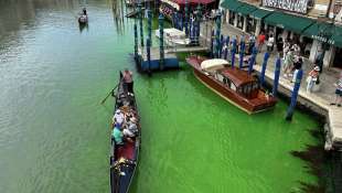 acqua del canal grande colorata di verde 2