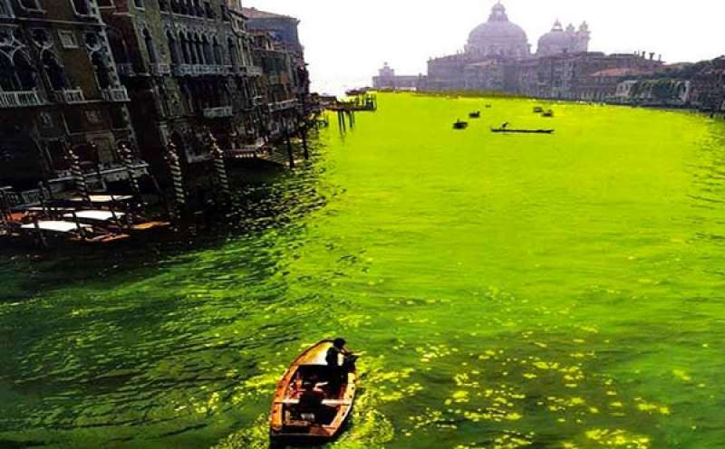 nicolas garcia uriburu colora l acqua del canal grande di verde 2