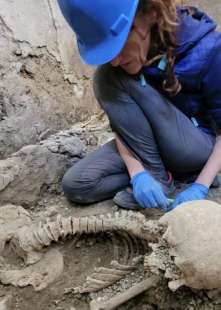scheletri ritrovati a pompei 6