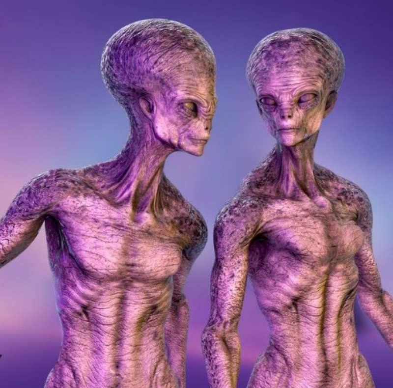 alieni viola 1