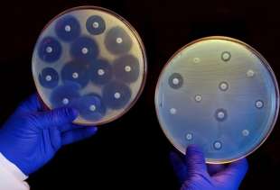 batteri resistono agli antibiotici
