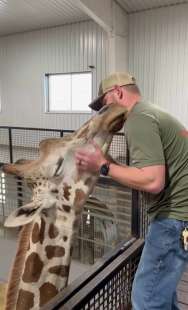 il chiropratico joren whitley e la giraffa 3