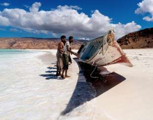 isola di Socotra in Yemen