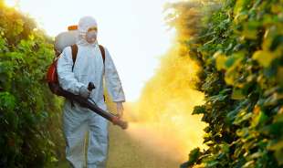 pesticidi 5