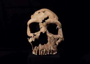 resti di donna di neanderthal trovati nel kurdistan iracheno
