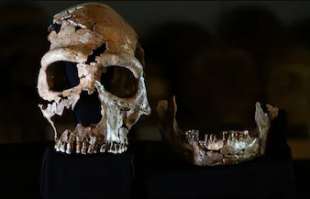 resti di donna di neanderthal trovati nel kurdistan iracheno