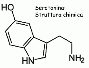 serotonina2