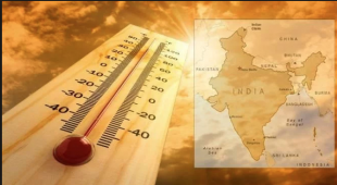 india caldo record