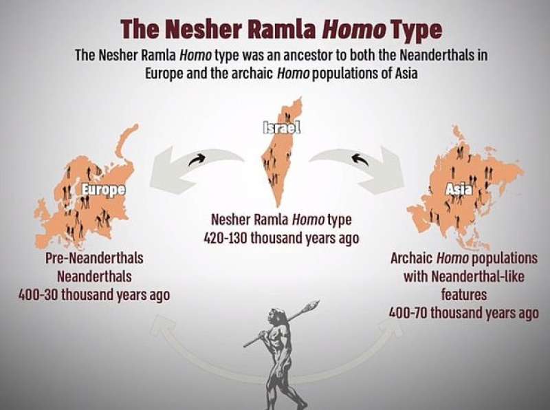 Homo Nesher Ramla 2