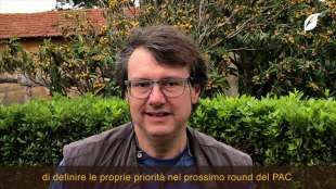 Paolo Barberi, Professore di Agronomia