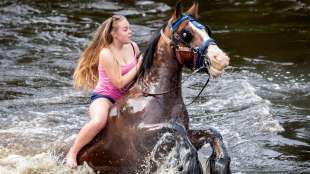 appleby horse fair 6