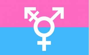 bandiera transgender di michelle lindsay