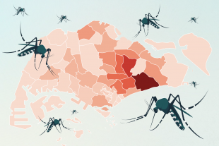 Dengue Singapore