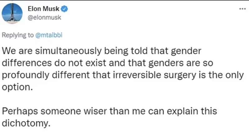 elon musk e il gender