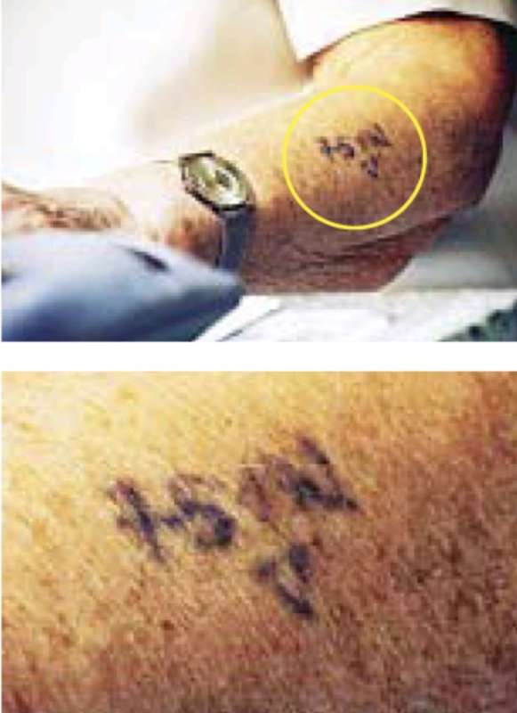 il braccio di liliana segre con il numero tatuato dai nazisti ad auschwitz