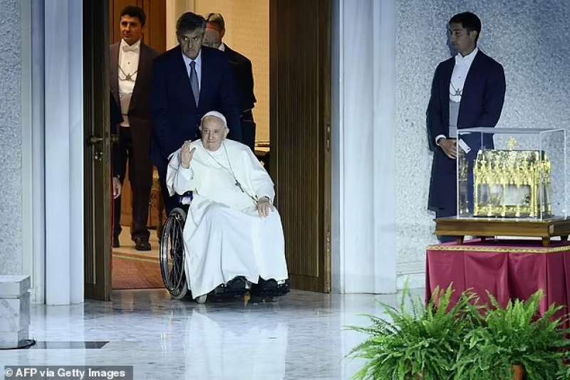 il papa udienza settimanale in vaticano 5