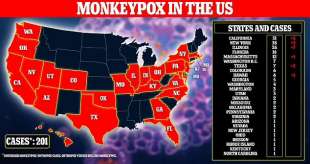 Vaiolo delle scimmie negli Usa 28 giugno 2022