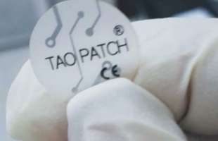 il taopatch di tao technologies.