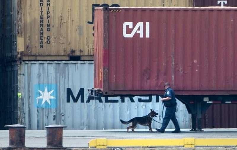18 tonnellate di droga sequestrate nella nave msc gayane 3
