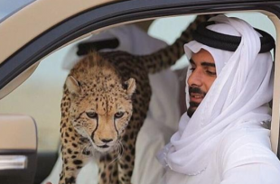 Khalifa bin Hamad bin Khalifa Al Thani 1