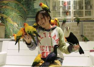 animal cafe giappone 5