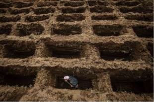 in indonesia si scavano tombe per i morti di covid