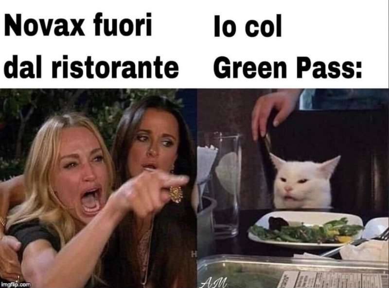 meme sul green pass