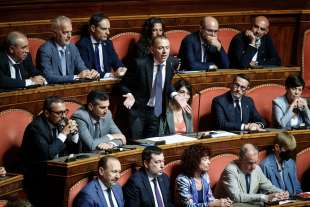 discorso di massimiliano romeo al senato