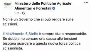 IL POST CONTRO DI MAIO SULL ACCOUNT FACEBOOK DEL MINISTERO DELL AGRICOLTURA