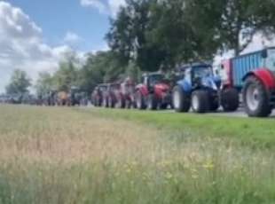 proteste agricoltori olanda 6