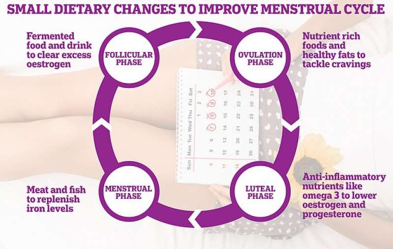 Fasi ciclo mestruale