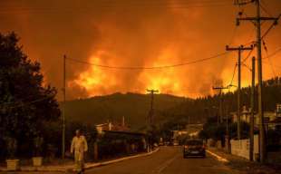 incendi sull' isola di evia in grecia 8