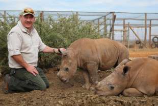 johan marais cura i rinoceronti 2