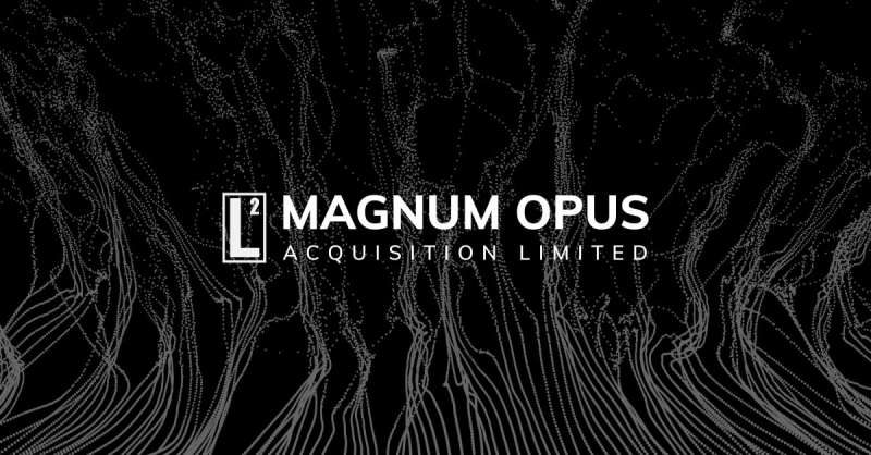 magnum opus acquisition