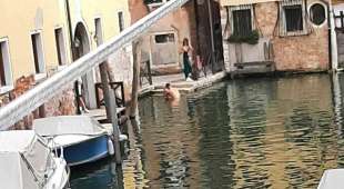 turisti cafoni a venezia 5