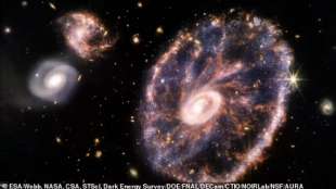 la galassia cartwheel immortalata dal telescopio james webb 2