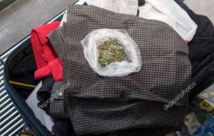 marijuana in valigia 1
