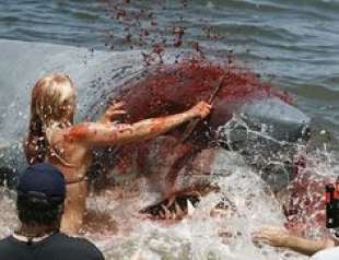 monster shark attack 1