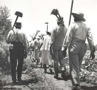schiavi nel mississippi 1937