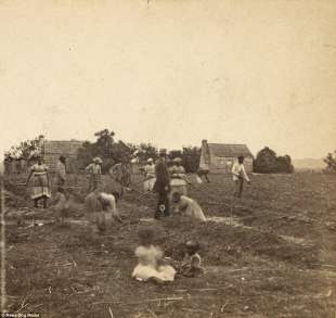 schiavi south carolina 1863