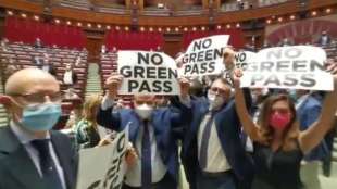 deputati di fratelli d italia contro il green pass