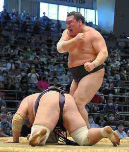 il campione di sumo hakuho 7