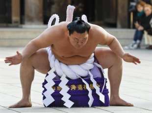 il campione di sumo hakuho 8