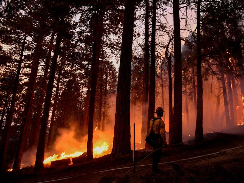 incendi sequoia national park 2