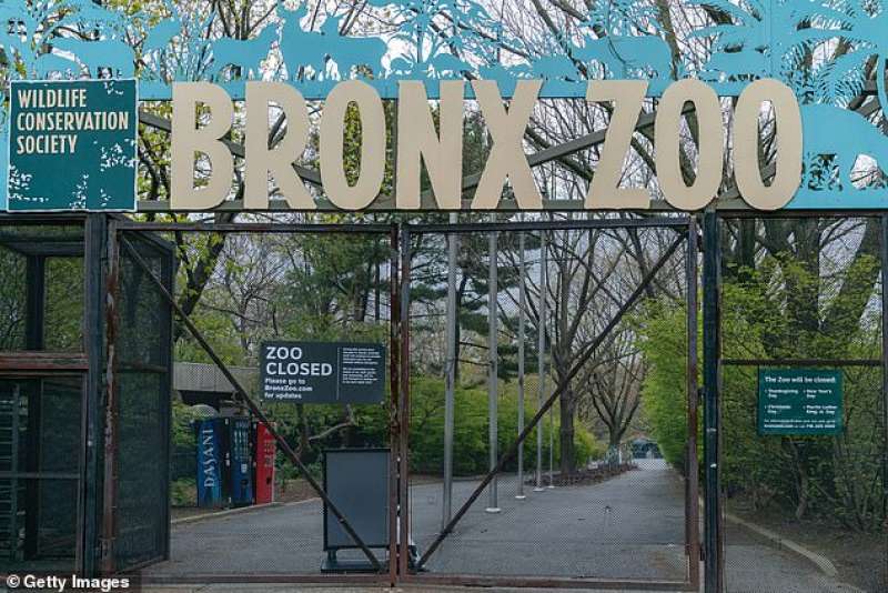 Lo zoo del Bronx di New York