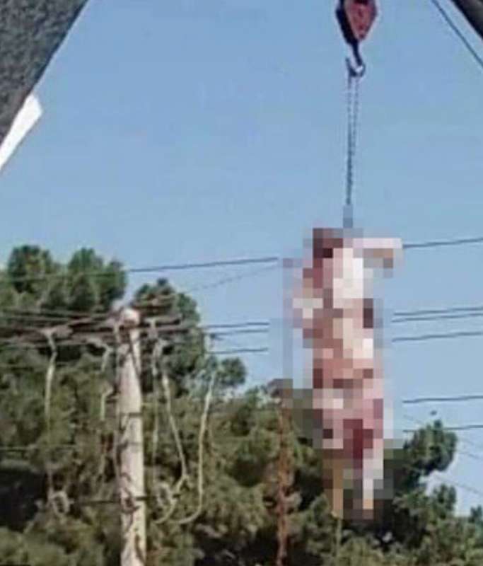 uomo impiccato a herat dai talebani 4