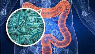 microbiota intestinale 9