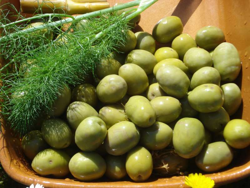 olive ascolane del piceno 2